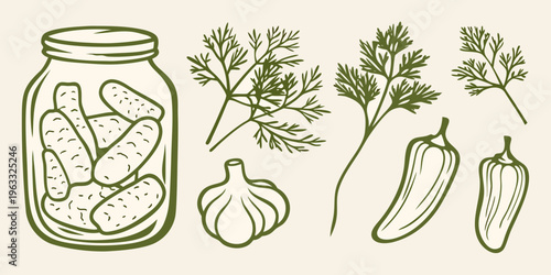 Pickled vegetables and fresh herbs illustration in a simple sketch style