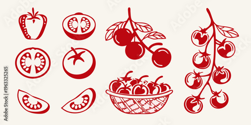 Red tomato illustrations whole fruits slices vines and a basket
