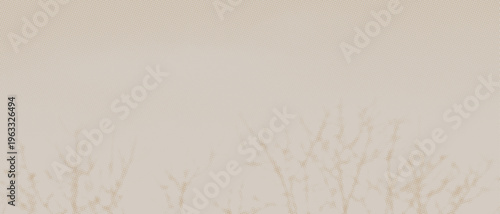abstract beige background with shadow of tree branches, wide photo