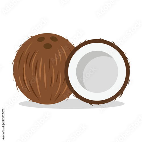 Flat vector illustration of a whole brown coconut and halved slice isolated on white