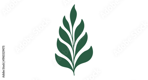 Single dark green leaf branch with multiple pointed leaves isolated on a white background in a minimalist botanical style.