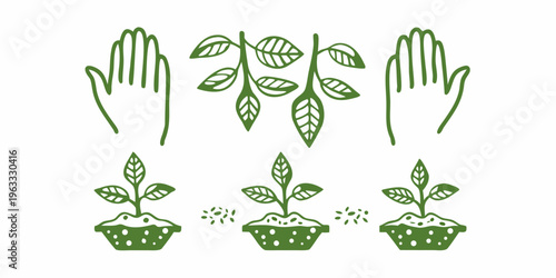 Hands cradling plants and seedlings a symbol of growth and care