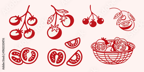 Red tomato illustrations whole fruits slices and a basket arrangement