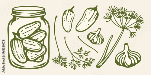 Hand drawn illustration of pickled cucumbers in a glass jar with herbs