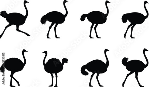 Eight Black Silhouettes of Ostriches in Diverse Poses and Movements on a White Background Keywords: ostrich, bird, silhouette, animal, wildlife, graphic, illustration, vector, art, design