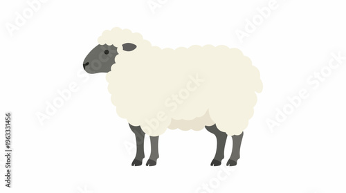 Isolated sheep illustration with woolly fleece and dark face.