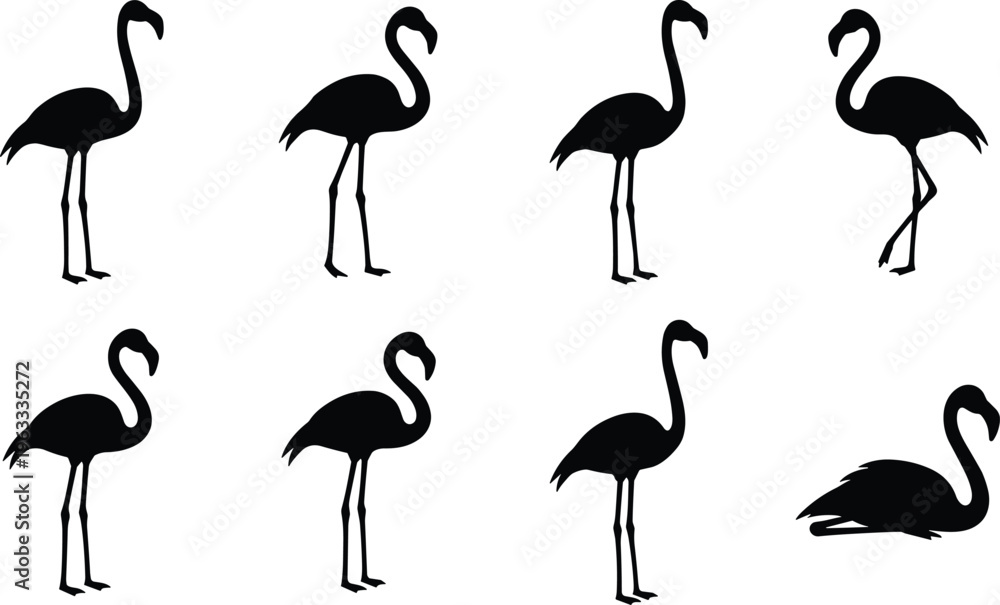 Obraz premium Premium flamingo silhouette set, black tropical bird vector collection isolated on white background, wildlife illustration bundle for logo, branding projects