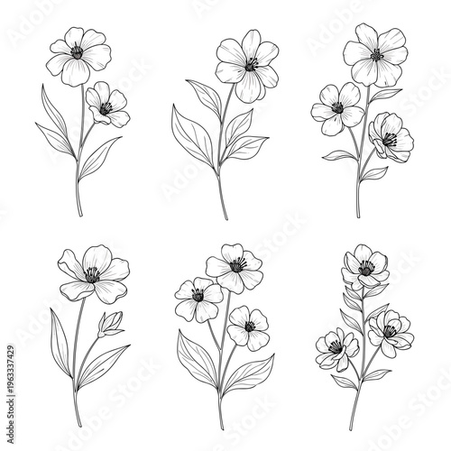 Thin Line Stem and Leaf Botanical Illustration