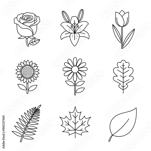 Grid of Simple Floral and Leaf Outlines