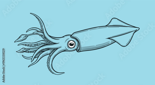 Highly detailed vintage style illustration of a large squid with tentacles and big eye on a soft light blue background.
