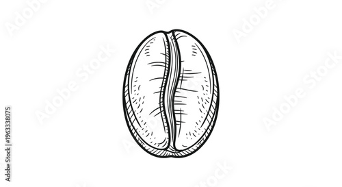 Single roasted coffee bean shown in a detailed hand-drawn charcoal or ink style as a classic black and white food icon.
