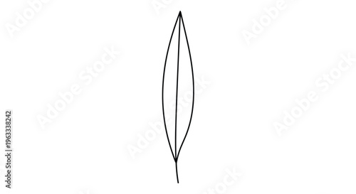 Extremely simple black line drawing of a long narrow leaf shape with a central vein isolated on a white background.
