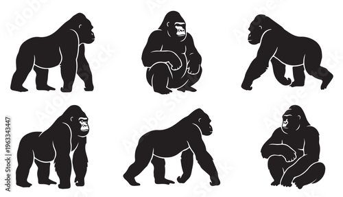 black and white vector silhouette set of gorilla
