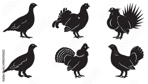 black and white vector silhouette set of grouse animal