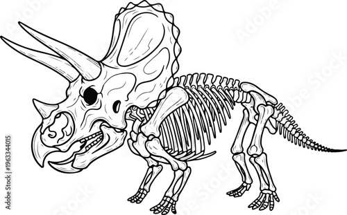 Tyrannosaurus Rex Dinosaur Skeleton Fossil.