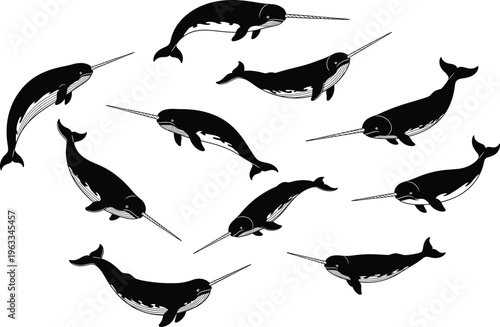 Black narwhal silhouettes set isolated on white background, marine mammal collection, ocean wildlife illustration, arctic sea creatures, minimalist design elements pack