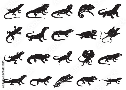 black and white vector silhouette set of lizard