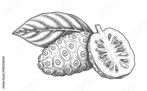 Black and white of a sliced custard apple with leaf sugarapple sweetsop fruit