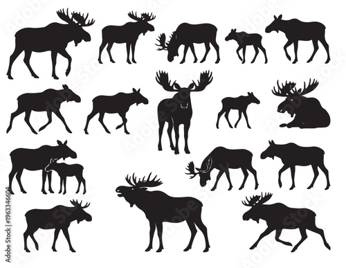 Tableau sur toile black and white vector silhouette set of Moose