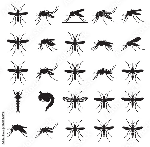 black and white vector silhouette set of mosquito