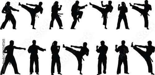 Martial arts silhouette postures and kicks