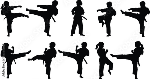 Martial arts silhouette postures and techniques