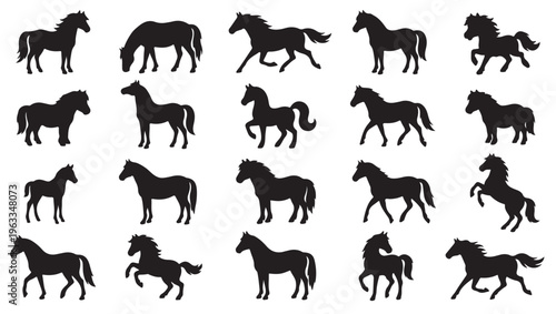 black and white vector silhouette set of pony