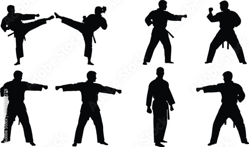 Martial arts silhouettes in various kickboxing poses