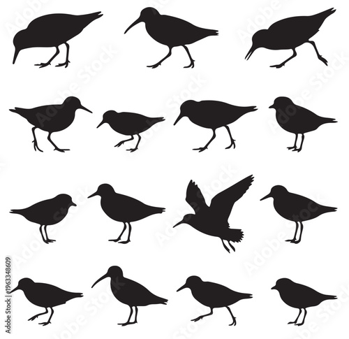 Schilderij op canvas and white vector silhouette set of Sandpiper