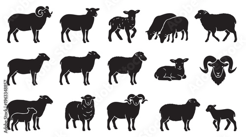 black and white vector silhouette set of sheep