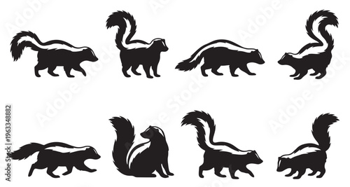 black and white vector silhouette set of Skunk 