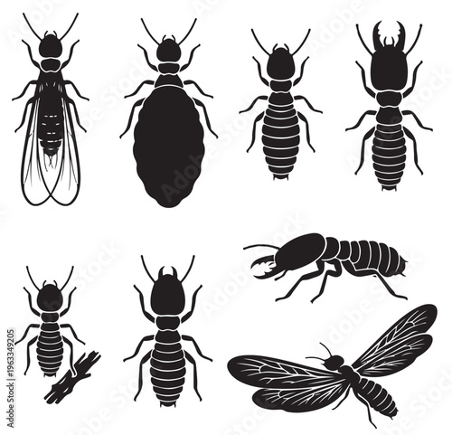  black and white vector silhouette set of termite