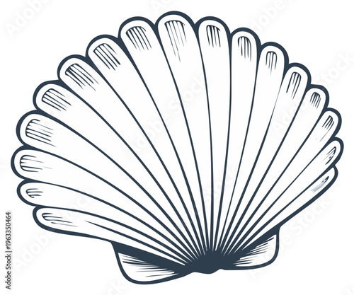 Stylized scallop shell illustration with radiating lines and dark outline on white