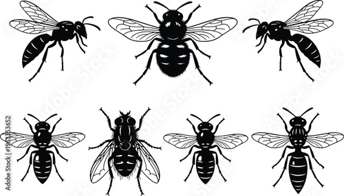 Black bee and wasp silhouette collection featuring honeybee hornet and fly insects isolated on white background for nature education and pest control vector designs (24 words)