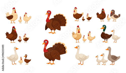 Cartoon domestic bird families set with rooster hen duck goose and turkey characters for kids games and learning design