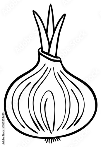 Black and white line drawing of a single whole onion with green sprouts