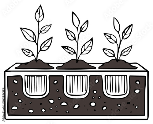 Illustration of growing seedlings in a planter box, black and white style