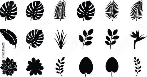 Tropical leaf silhouette collection featuring monstera deliciosa, palm fronds, banana leaves, bird of paradise, and succulent plant icons isolated on a white background.
