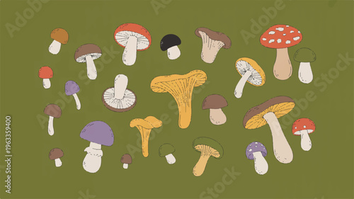 A Symphony of Mushrooms: A colorful illustration showcasing a collection of diverse mushroom varieties, creating a delightful arrangement on a serene background. 