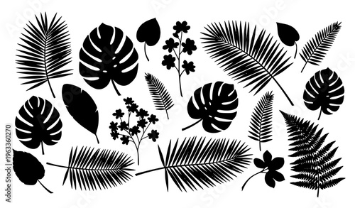 Tropical leaf silhouettes collection