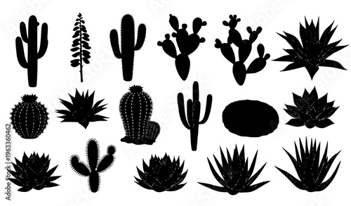 Collection of various cactus and succulent silhouettes