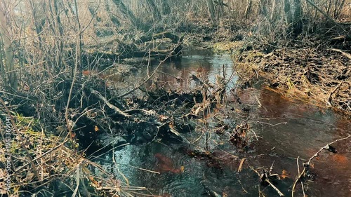 Narrow River Winding Through Bare Spring Trees and Dry Vegetation