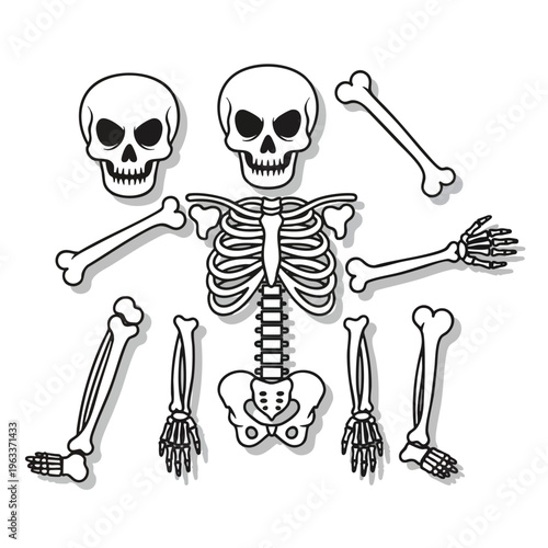 Stylized black and white skeleton pieces with shadows against white background