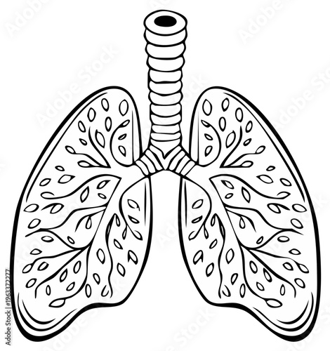 Artistic Outline of Human Lungs with Branching Airways and Leaf-like Structures