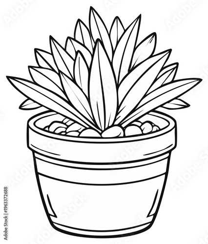 Potted Succulent Plant Illustration Simple Line Art for Coloring Book Indoor Gardening Home Decor Greenery Design Element