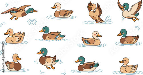 Cute duck cartoon set with swimming flying poses pond water bird illustration collection