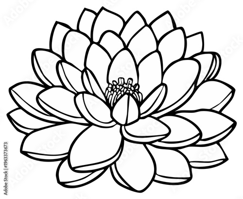 Illustration of a fully bloomed lotus flower with detailed petals and delicate central stamen