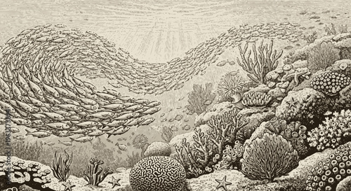 Vintage Engraving Style Underwater Coral Reef Scene with School of Fish