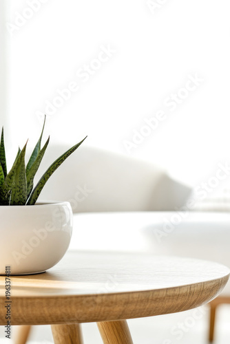 A potted plant sits on a table in a cozy living room