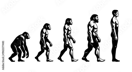 Human evolution from ape to man.